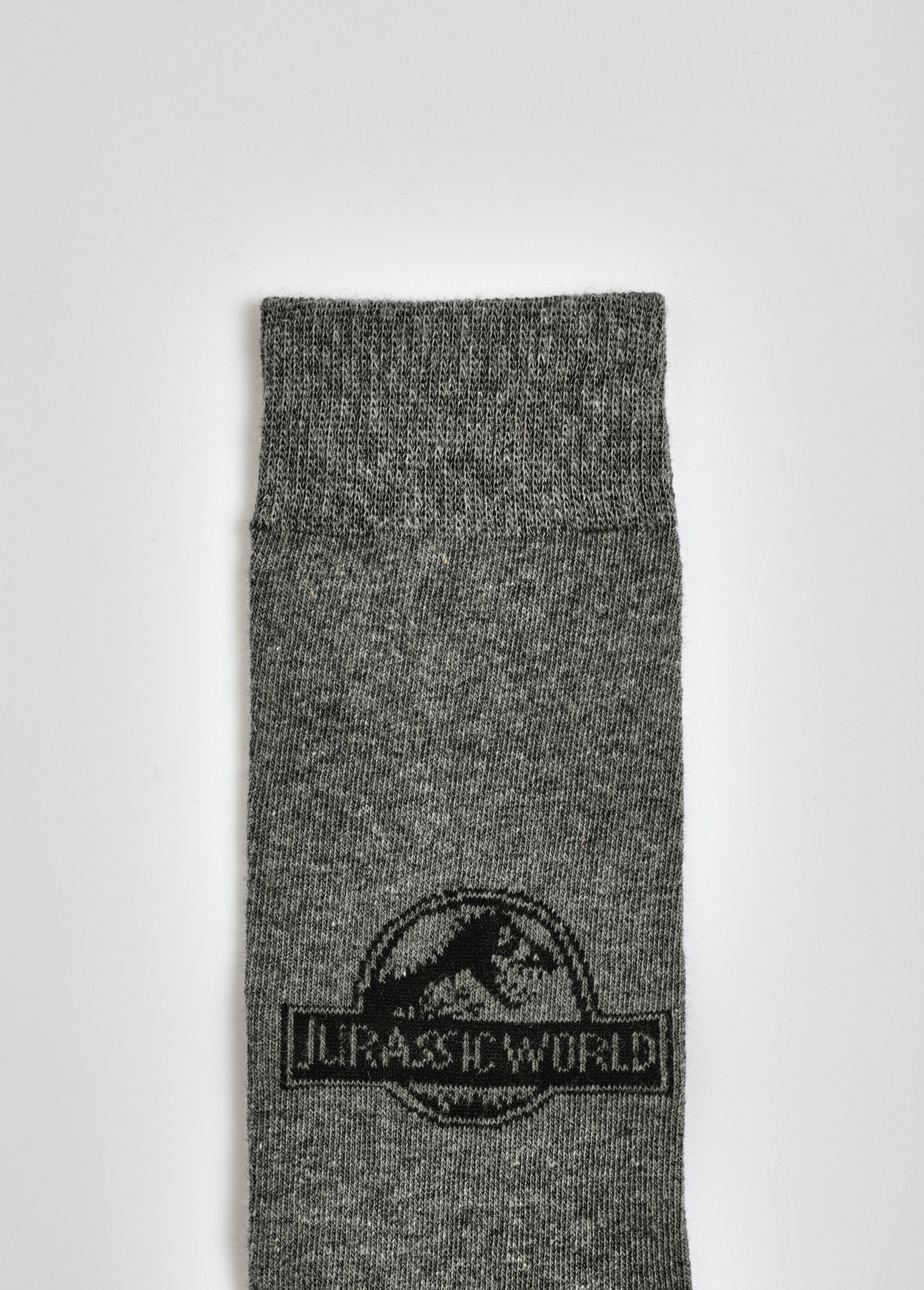 Pair_of_socks,_Jurassic_World_Dark_gray_DE2_slim