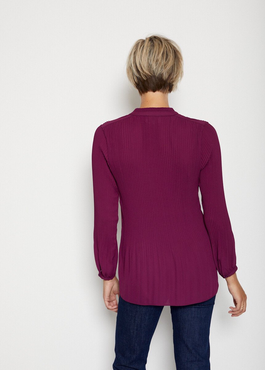 Pleated_blouse_with_frilly_collar_Violin_DO1_slim