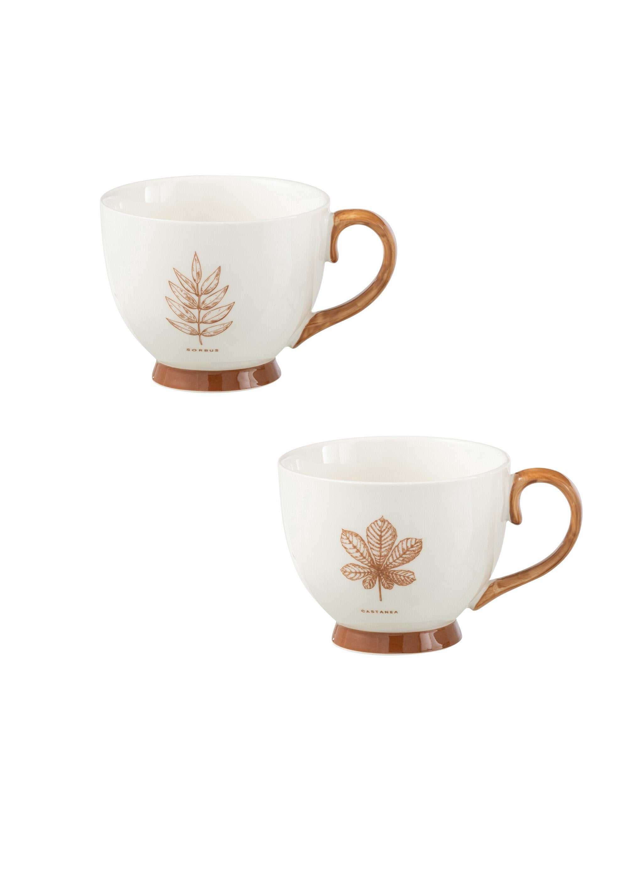 Set_of_2_cups_with_leaf-decorated_handles_Chestnut_sorb_tree_FA1_slim