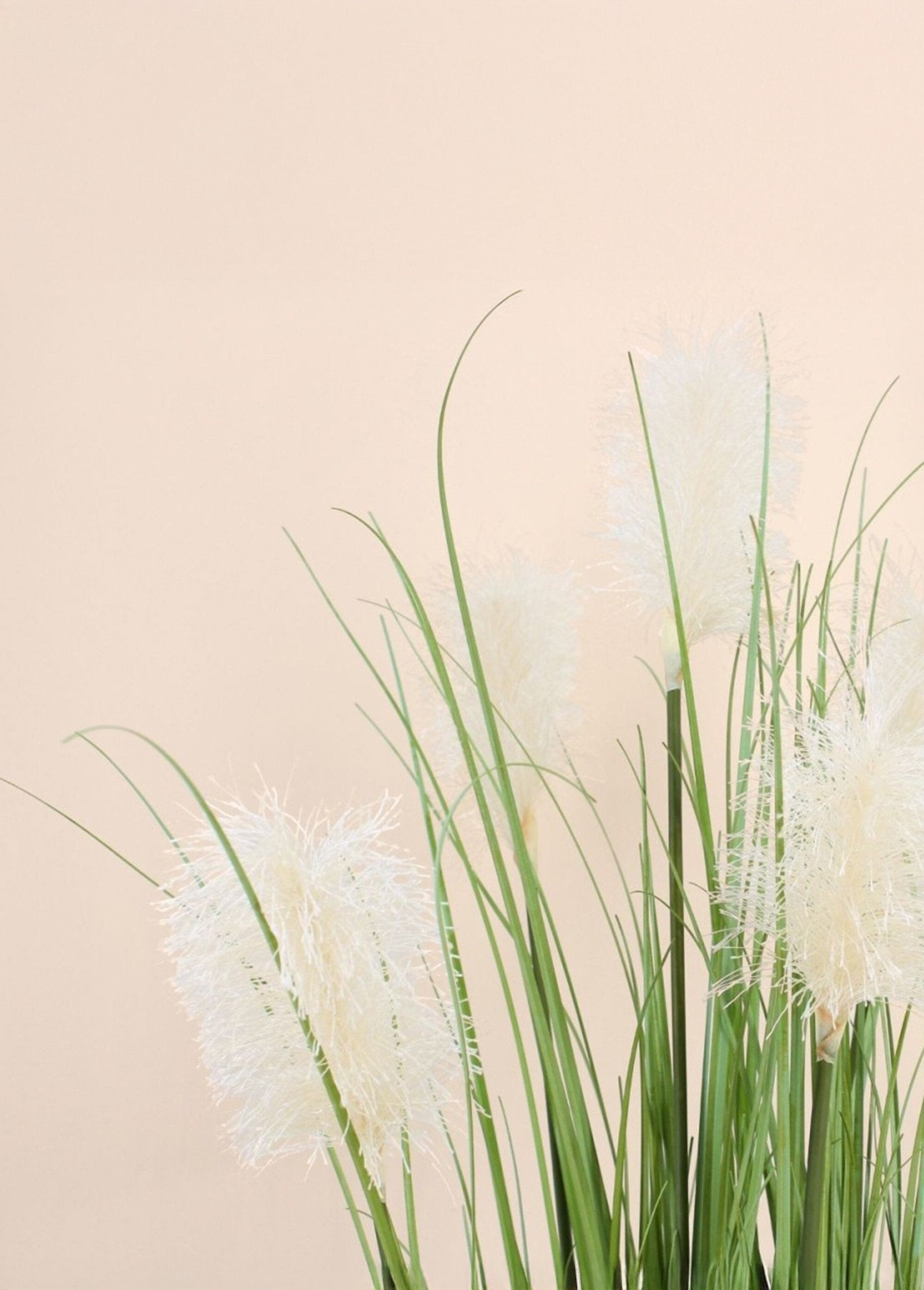 Artificial_Pampas_Grass_Plant_Black_DE1_slim