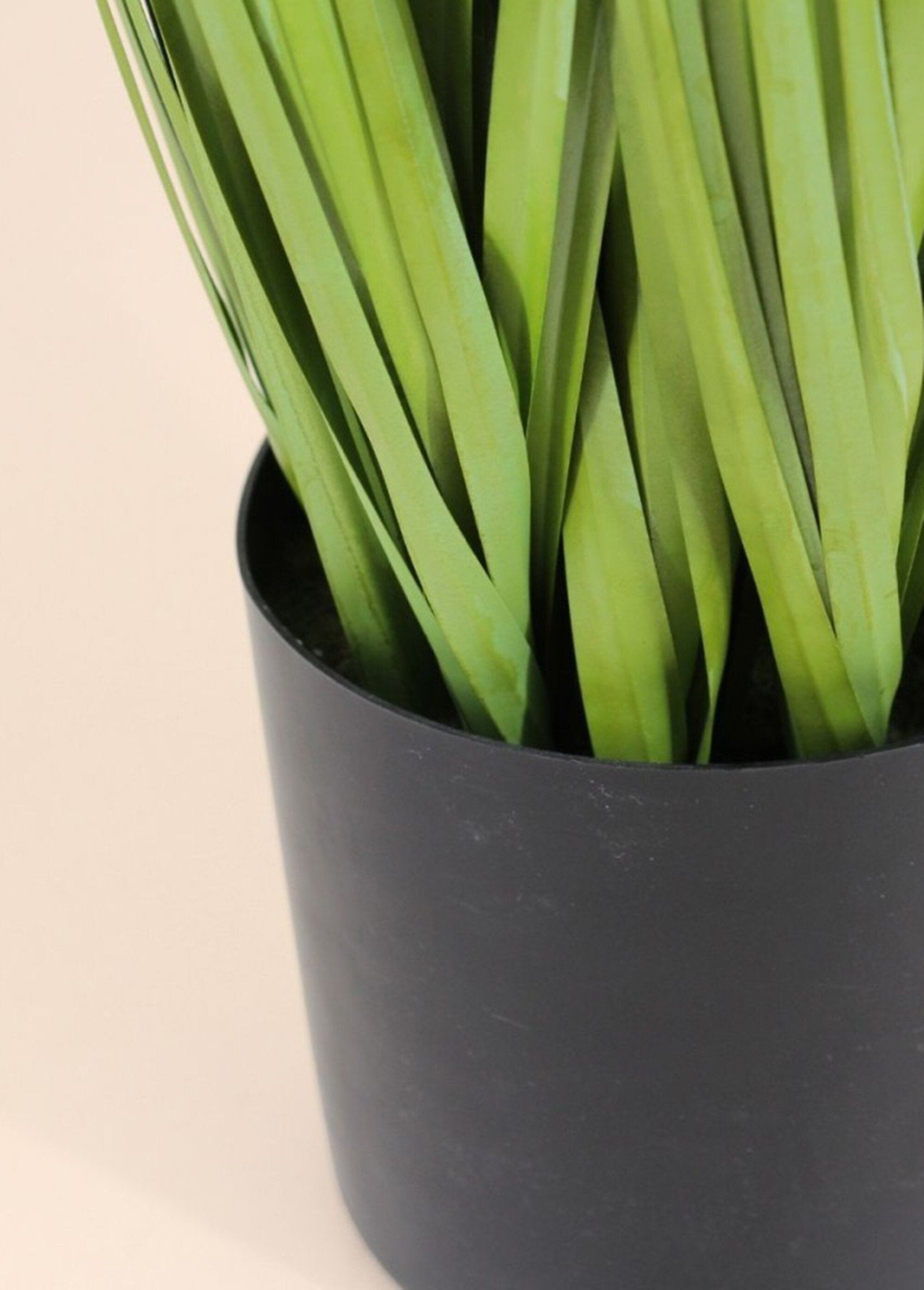 Artificial_Pampas_Grass_Plant_Black_DE2_slim