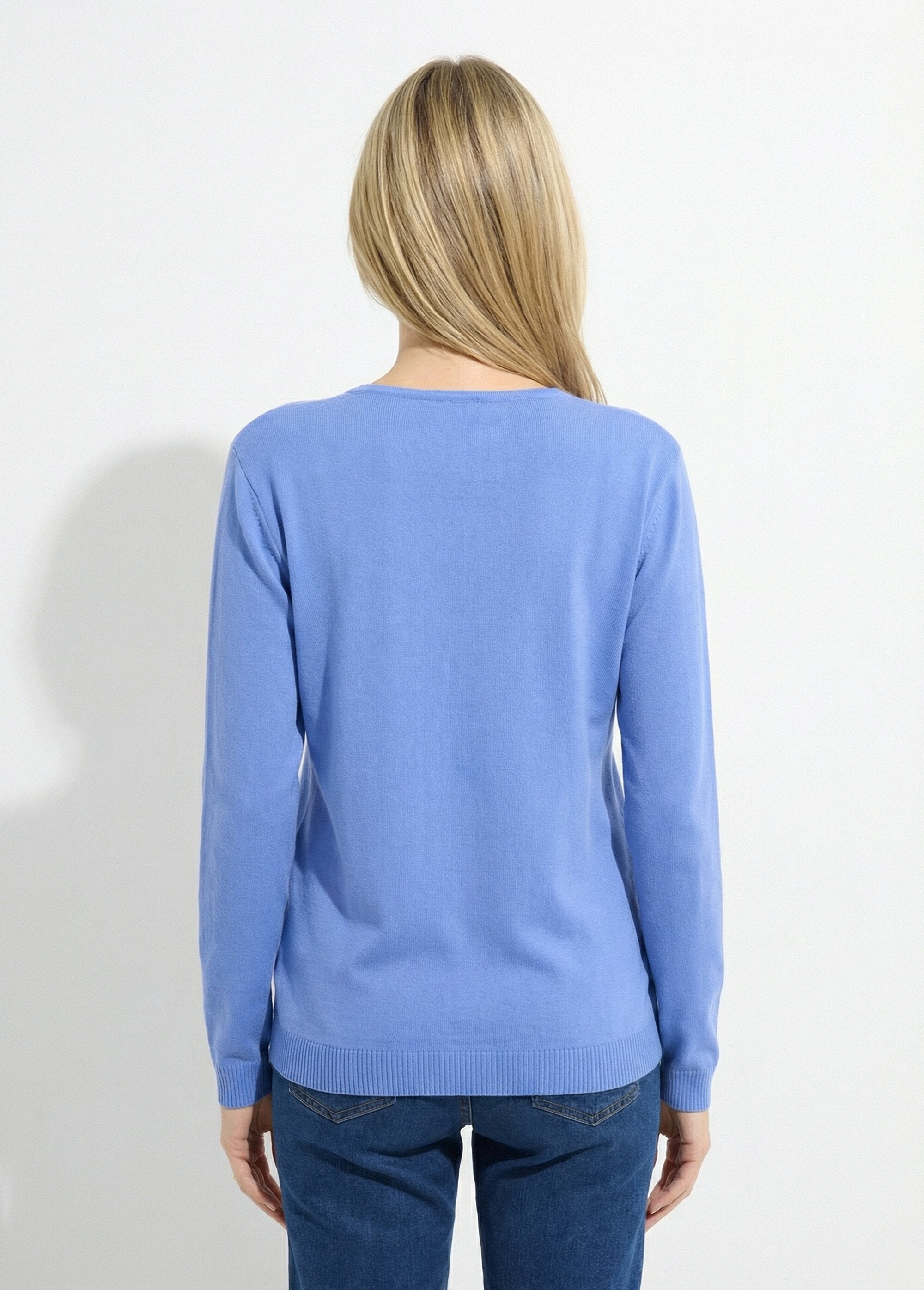 Thin_long-sleeved_V-neck_sweater_Blue_DO1_slim