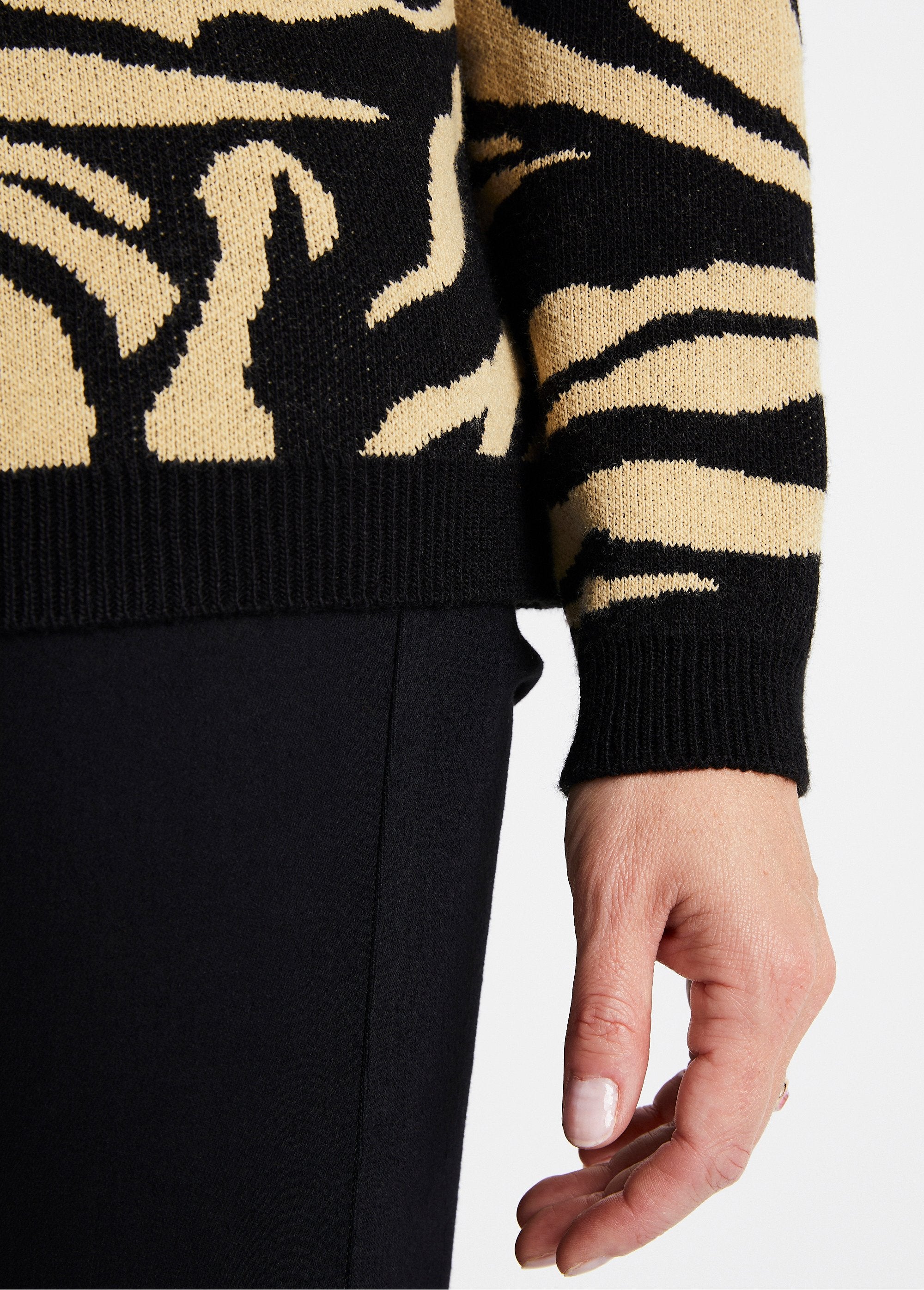Pull_doux_jacquard_zèbre_col_rond_Beige_et_noir_DE2_slim